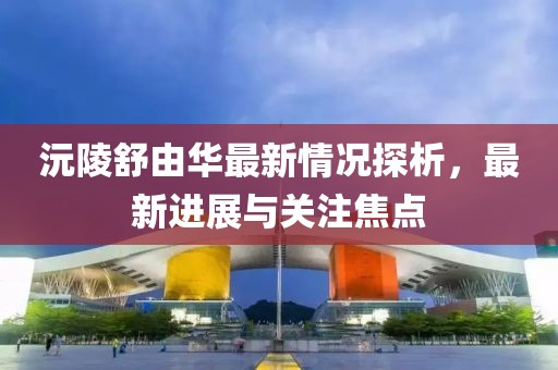 沅陵舒由華最新情況探析，最新進(jìn)展與關(guān)注焦點(diǎn)