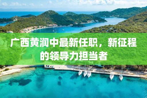 廣西黃潤中最新任職，新征程的領(lǐng)導(dǎo)力擔(dān)當(dāng)者