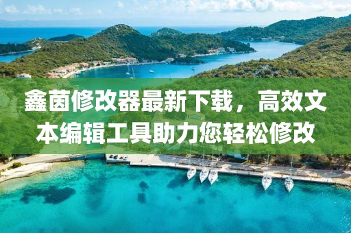 鑫茵修改器最新下載，高效文本編輯工具助力您輕松修改