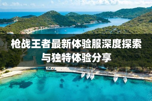 槍戰(zhàn)王者最新體驗(yàn)服深度探索與獨(dú)特體驗(yàn)分享