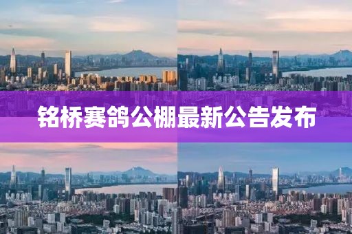 甜心少女 第19頁(yè)