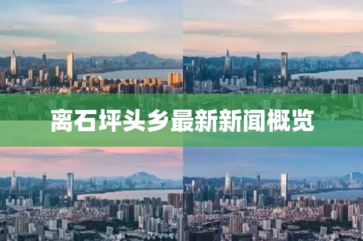 離石坪頭鄉(xiāng)最新新聞概覽