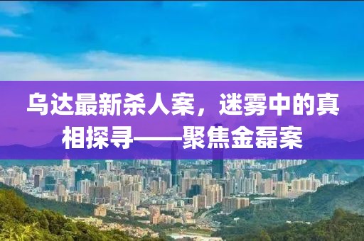 烏達(dá)最新殺人案，迷霧中的真相探尋——聚焦金磊案
