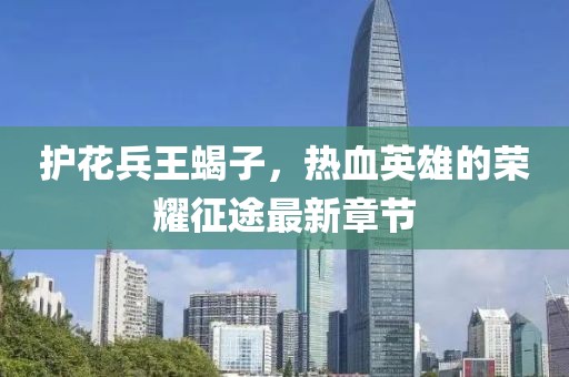 護(hù)花兵王蝎子，熱血英雄的榮耀征途最新章節(jié)