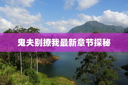 鬼夫別撩我最新章節(jié)探秘