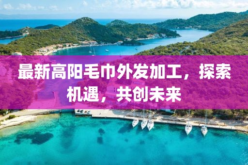 最新高陽毛巾外發(fā)加工，探索機遇，共創(chuàng)未來