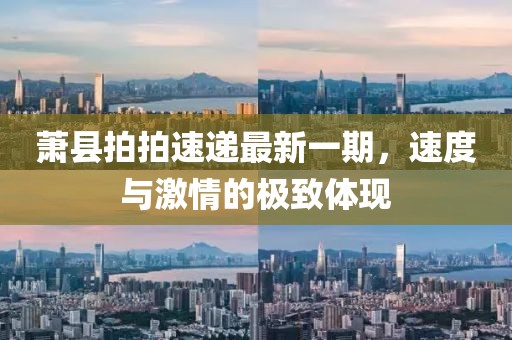 蕭縣拍拍速遞最新一期，速度與激情的極致體現(xiàn)