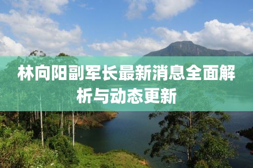 林向陽副軍長最新消息全面解析與動態(tài)更新