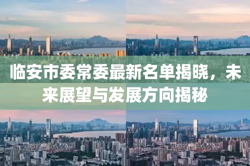 臨安市委常委最新名單揭曉，未來展望與發(fā)展方向揭秘