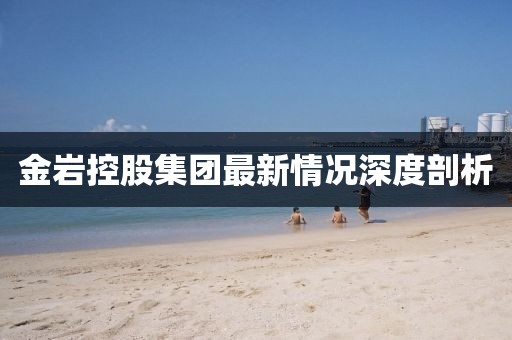 金巖控股集團最新情況深度剖析