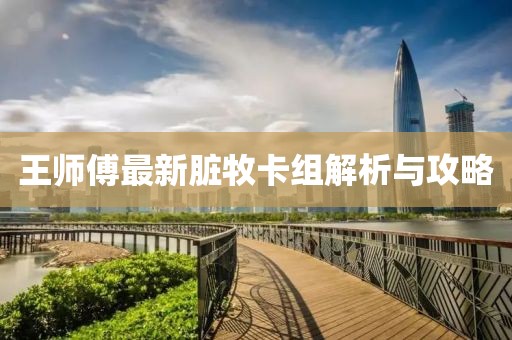 王師傅最新臟牧卡組解析與攻略