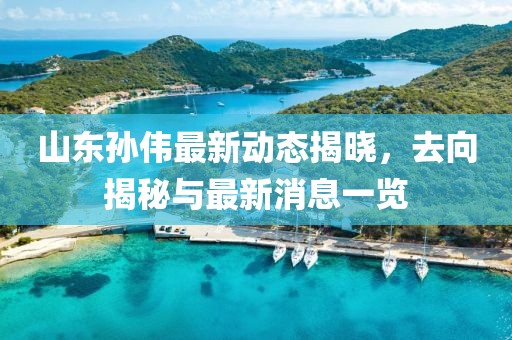 山東孫偉最新動(dòng)態(tài)揭曉，去向揭秘與最新消息一覽