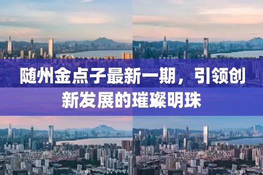 隨州金點(diǎn)子最新一期，引領(lǐng)創(chuàng)新發(fā)展的璀璨明珠