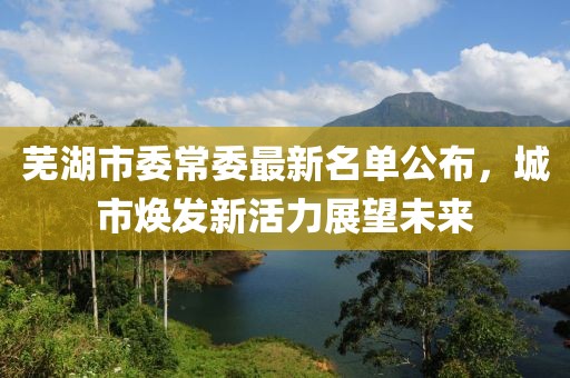 蕪湖市委常委最新名單公布，城市煥發(fā)新活力展望未來