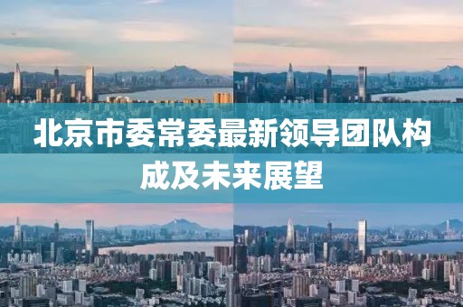 北京市委常委最新領(lǐng)導(dǎo)團(tuán)隊(duì)構(gòu)成及未來展望