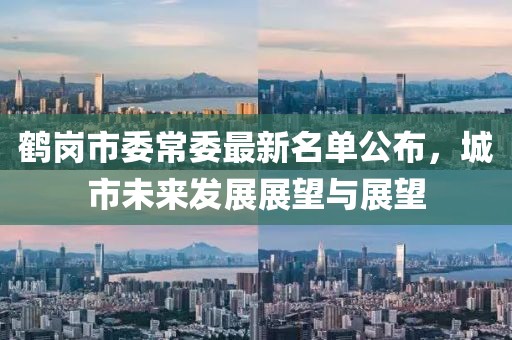 鶴崗市委常委最新名單公布，城市未來發(fā)展展望與展望