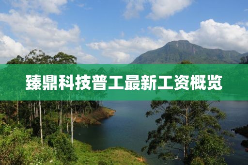 臻鼎科技普工最新工資概覽