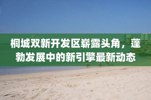 桐城雙新開發(fā)區(qū)嶄露頭角，蓬勃發(fā)展中的新引擎最新動態(tài)