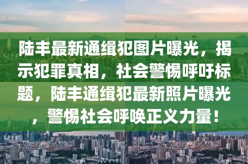 陸豐最新通緝犯圖片曝光，揭示犯罪真相，社會警惕呼吁標題，陸豐通緝犯最新照片曝光，警惕社會呼喚正義力量！