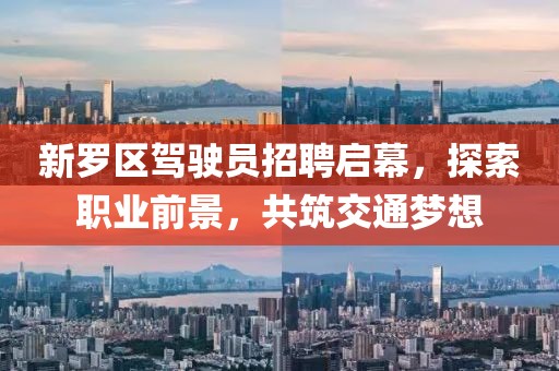 新羅區(qū)駕駛員招聘啟幕，探索職業(yè)前景，共筑交通夢想