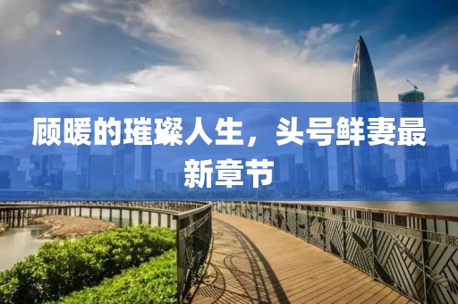 顧暖的璀璨人生，頭號鮮妻最新章節(jié)