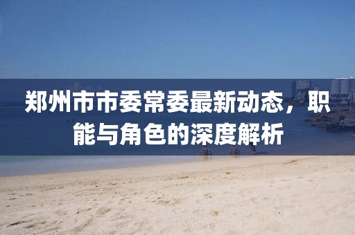 鄭州市市委常委最新動(dòng)態(tài)，職能與角色的深度解析