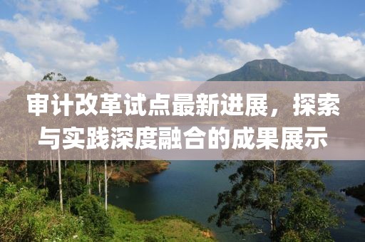 審計改革試點最新進展，探索與實踐深度融合的成果展示