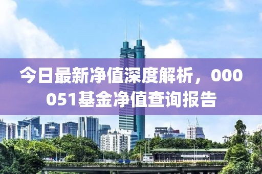 今日最新凈值深度解析，000051基金凈值查詢(xún)報(bào)告