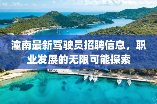 潼南最新駕駛員招聘信息，職業(yè)發(fā)展的無限可能探索