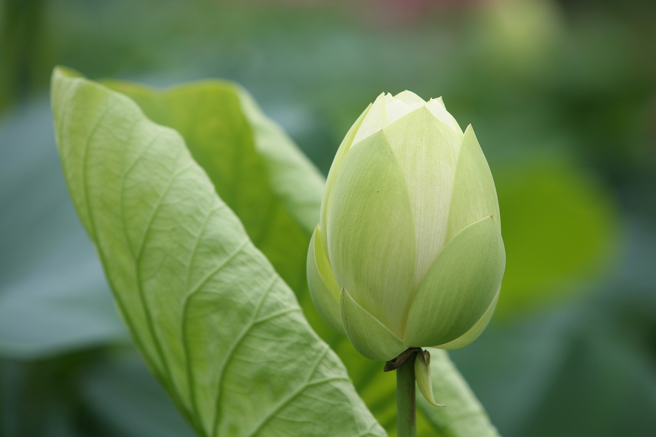 大地傳媒重組最新動態(tài)，重塑傳媒產(chǎn)業(yè)格局取得重大進(jìn)展