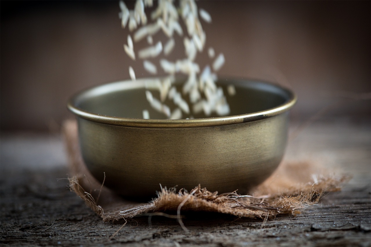 日照未來(lái)城最新動(dòng)態(tài)，城市發(fā)展的輝煌新篇章