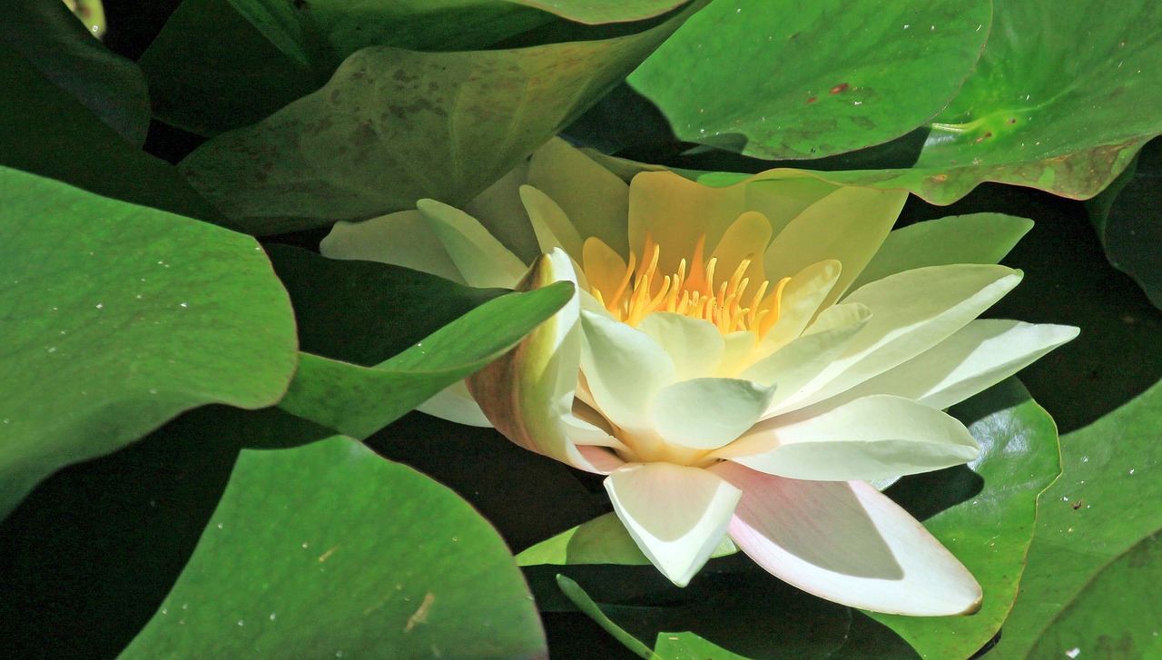 江門瓏湖灣未來繁華啟幕，最新動(dòng)態(tài)揭示未來發(fā)展新篇章