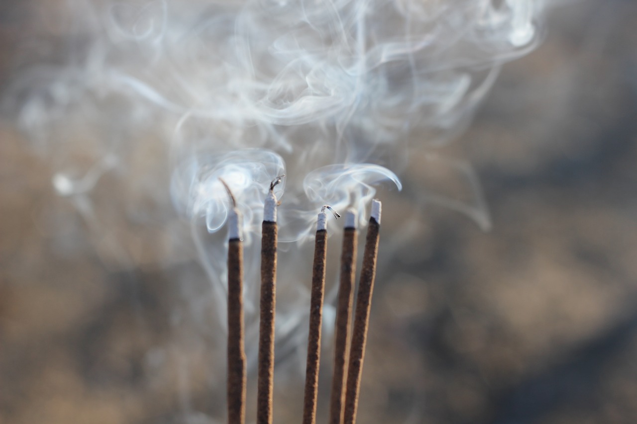 昆山溪香米蘭最新動態(tài)揭秘，最新消息一覽無余