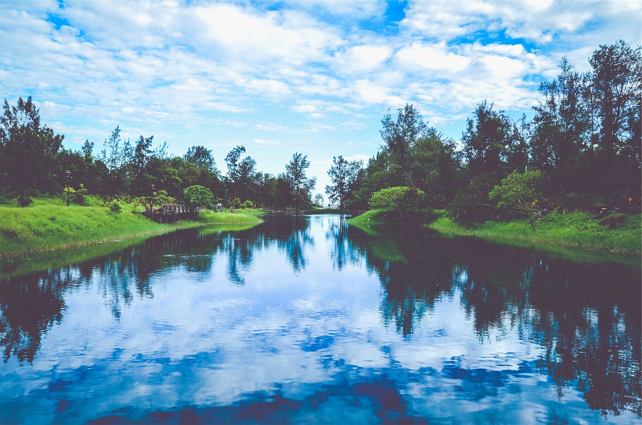 韓國(guó)薩德最新動(dòng)態(tài)，全球關(guān)注下的焦點(diǎn)事件分析視頻揭秘最新消息