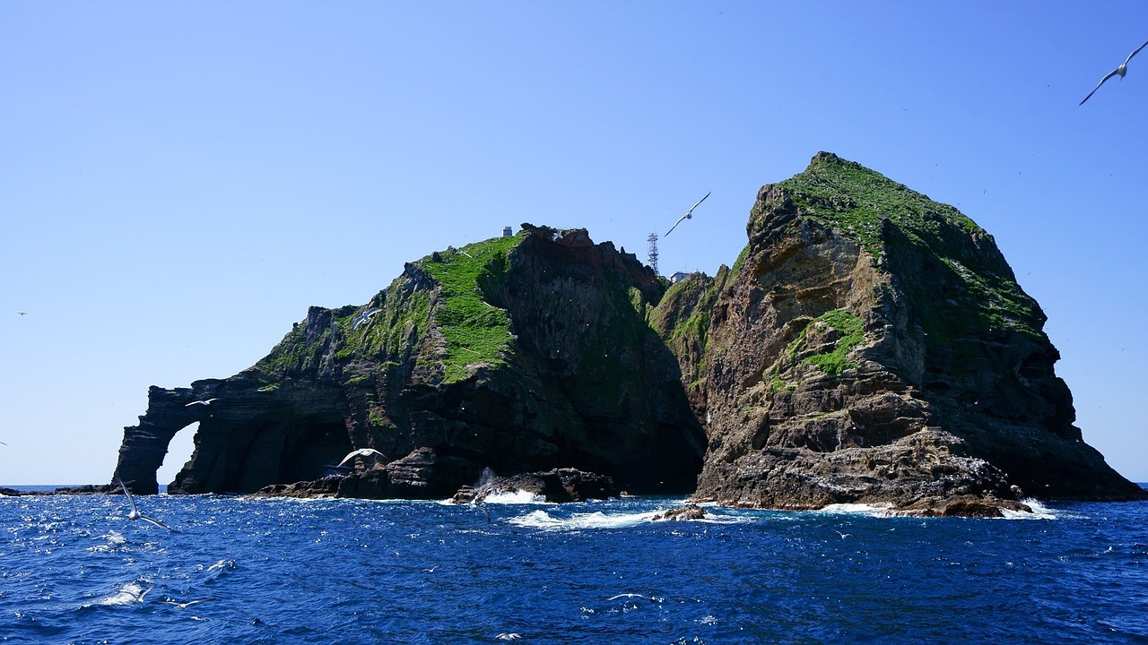 鈞魚(yú)島最新消息視頻揭秘，東海釣魚(yú)島爭(zhēng)端的新動(dòng)態(tài)
