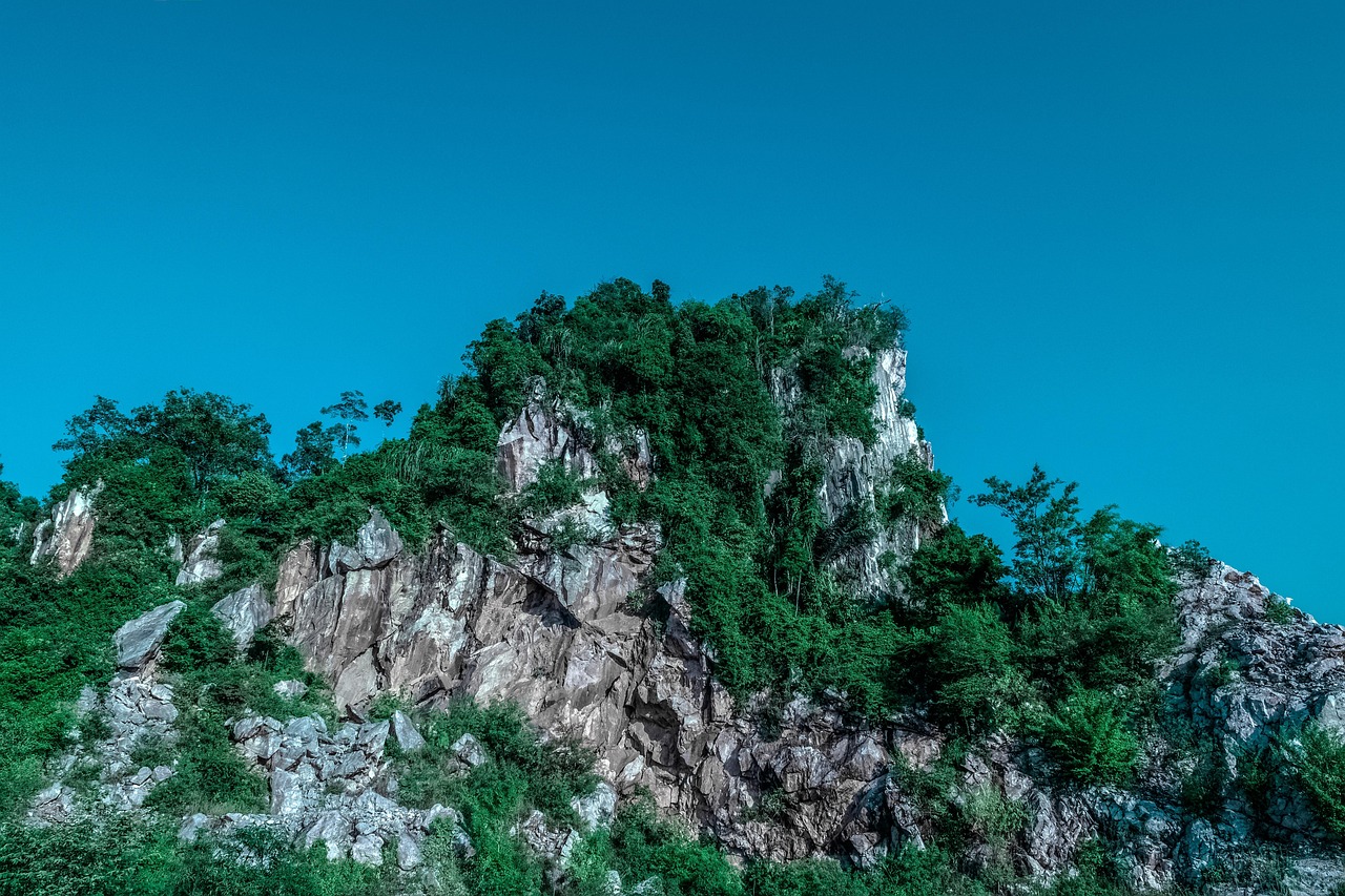 傳藝科技股票最新消息綜述，掌握最新動態(tài)，洞悉股市走向