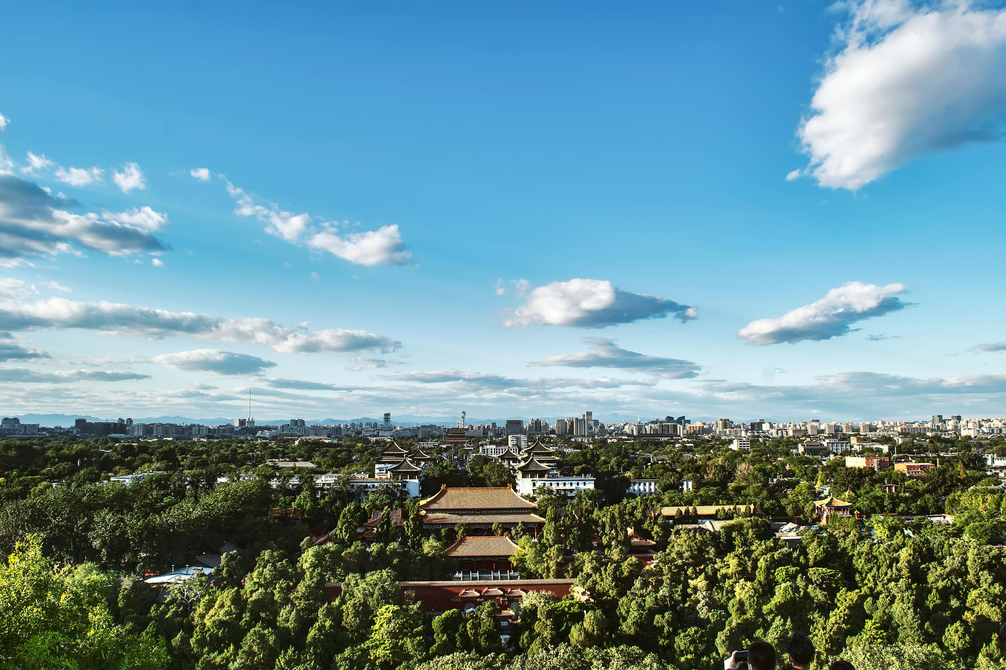 長沙洞井路最新動態(tài)，城市發(fā)展與民生改善同步前行