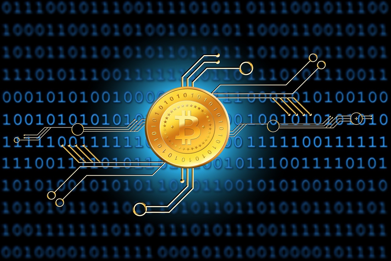 最新傳染病分類及種類概述，全面解析傳染病的世界