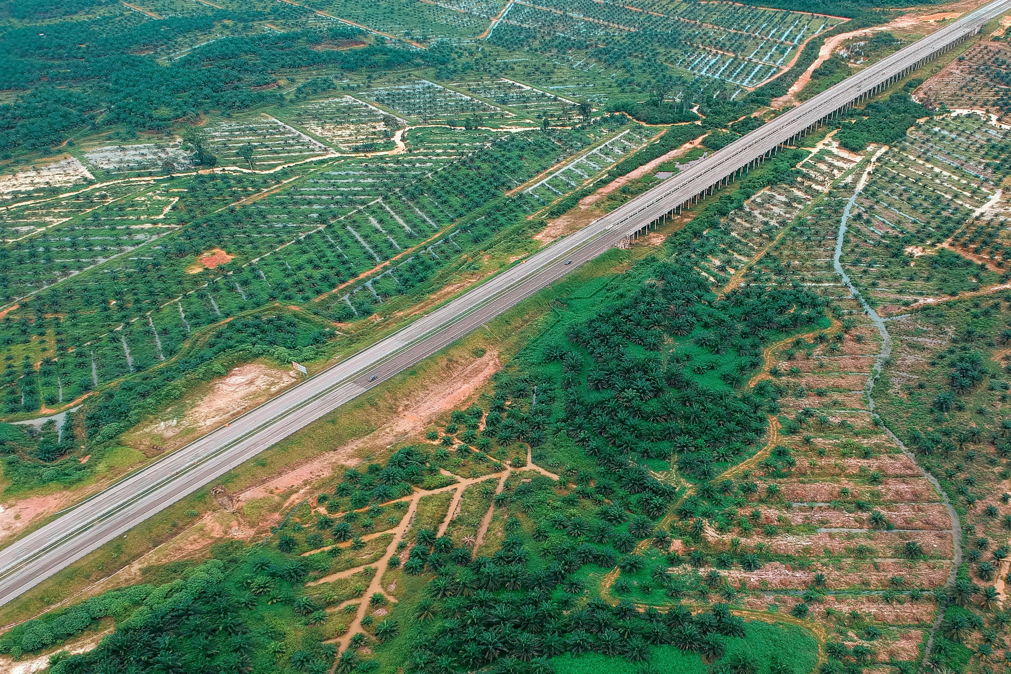 興富高速公路最新進展報告更新，建設(shè)進度一覽