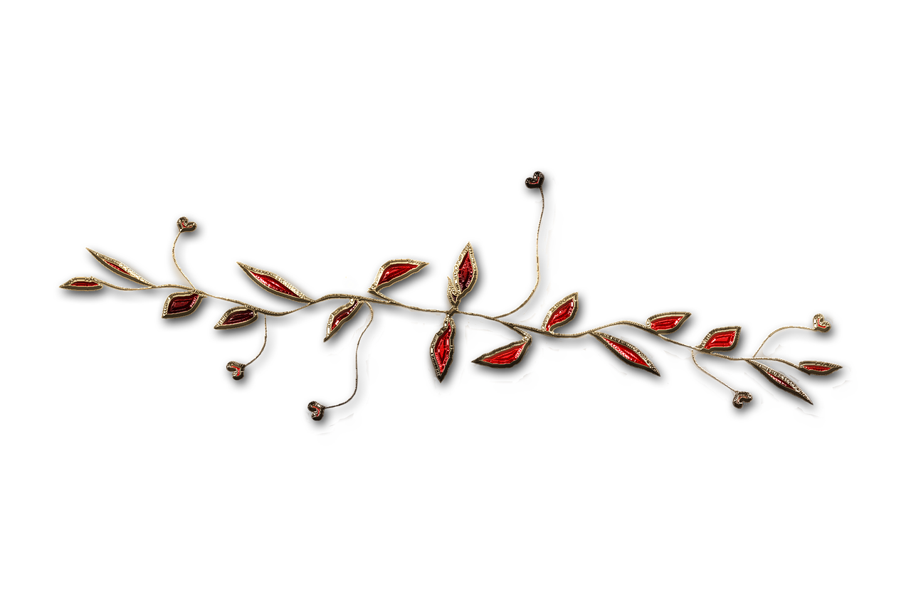 廣西大紅八角產(chǎn)業(yè)蓬勃發(fā)展，前景廣闊，最新消息與動態(tài)