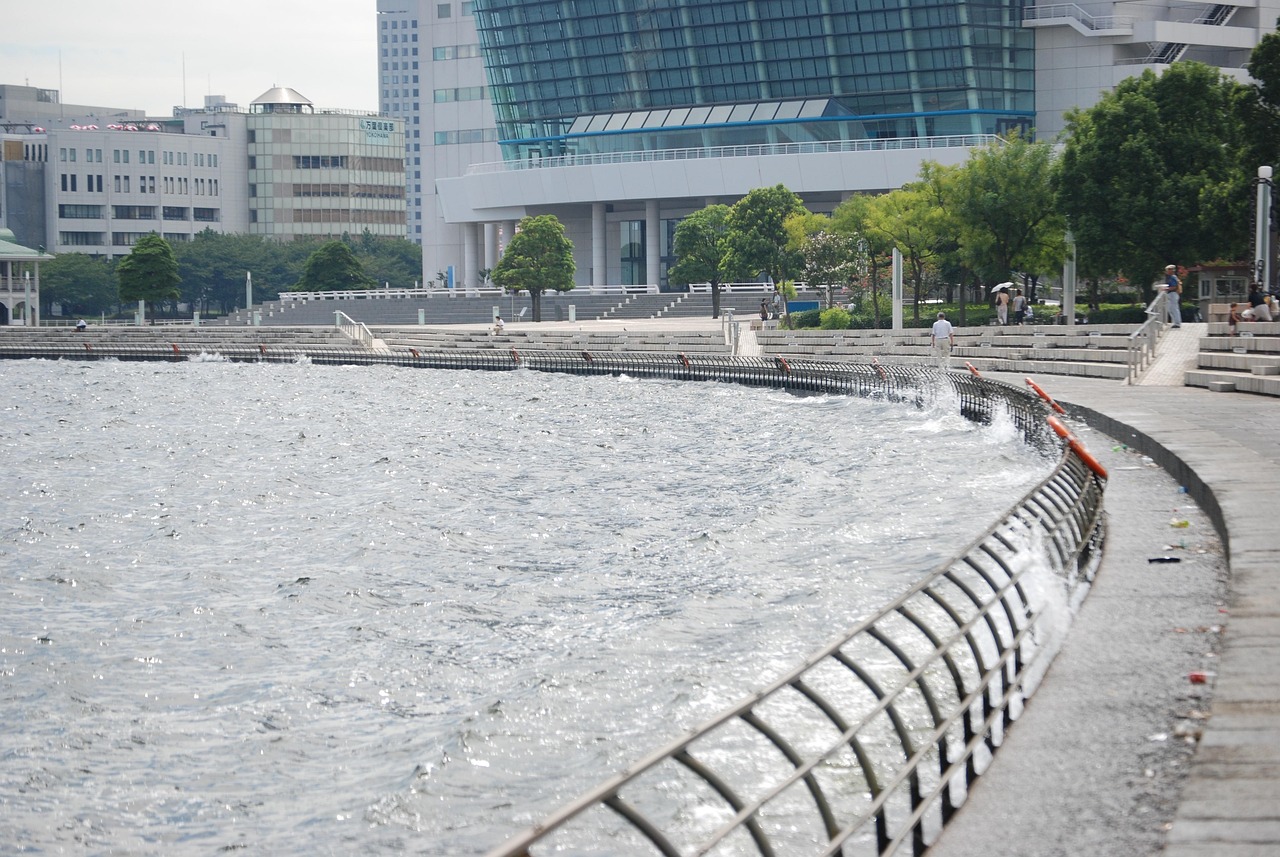 鄭州海昌海洋公園最新動態(tài)揭秘，揭開神秘面紗，展現(xiàn)海洋魅力奇觀