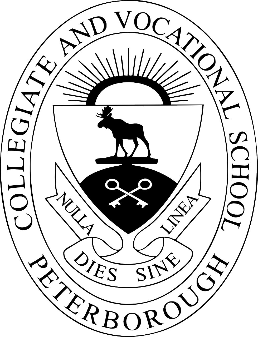 共青城大學(xué)城蓬勃發(fā)展，教育新篇章的最新消息