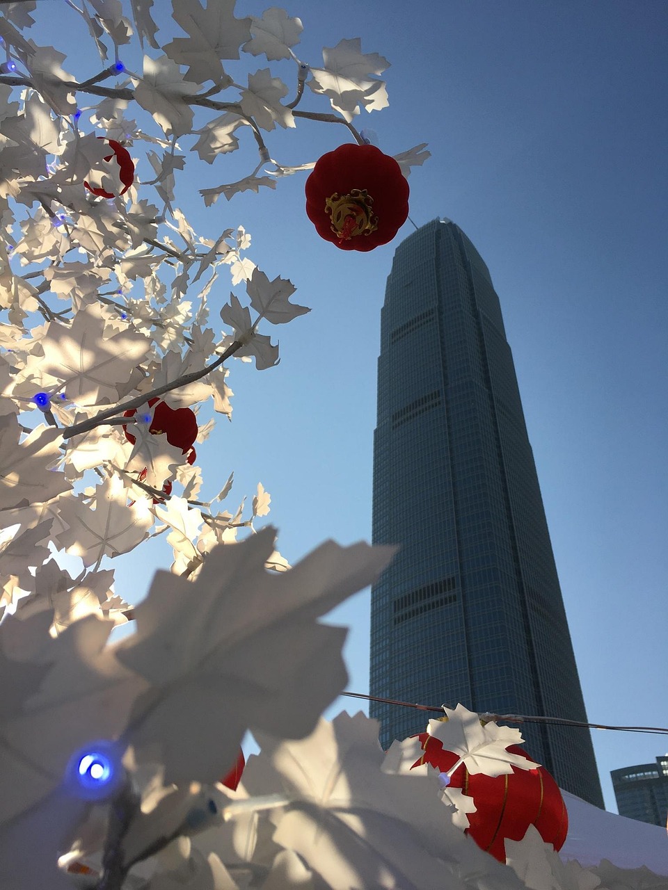 漫漫長夜新版本砍樹探索，全新體驗之旅