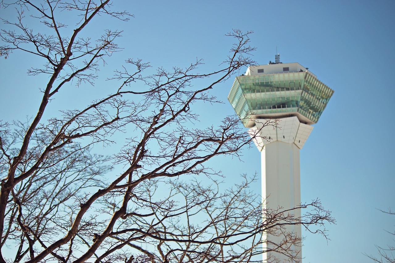 決斗之城最新動態(tài)，新時代卡牌競技盛宴揭秘